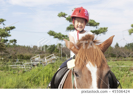 Pony, horseback riding, infant, children, baby, baby Pony, horseback riding, infant, children, baby, baby 45506424