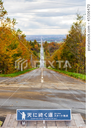 通往深秋的天空 45506470