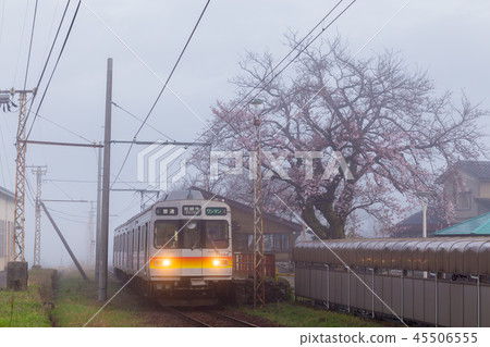 Asagiri cherry blossoms and Toyama ground iron Asagiri cherry blossoms and Toyama ground iron 45506555