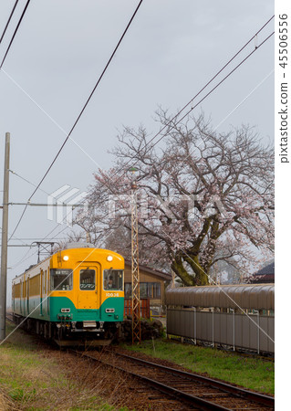 Asagiri cherry blossoms and Toyama ground iron Asagiri cherry blossoms and Toyama ground iron 45506556