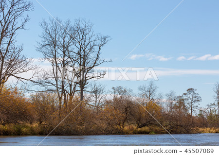 The scenery from the late autumn Kushiro wetland canoe The scenery from the late autumn Kushiro wetland canoe 45507089