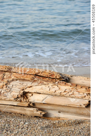 Driftwood on the sandy beach. 45508169