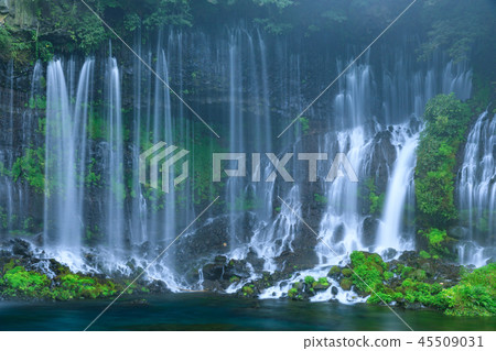 Shizuoka _ New Green Shiraito Waterfall Shizuoka _ New Green Shiraito Waterfall 45509031