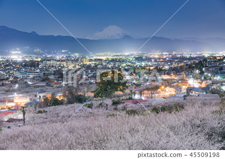 小田原_ Soga Meirin _富士山 45509198