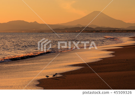 晚上觀看神奈川縣_湘南的富士山 45509326