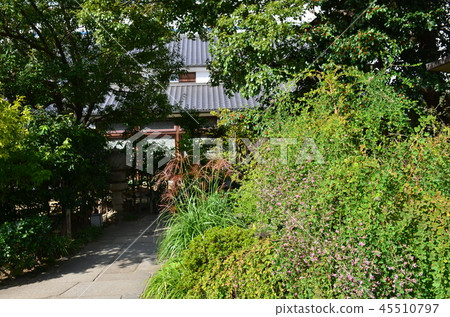 Nada Gogo清酒啤酒街 45510797