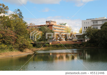 Osaka University Osaka University 45511446