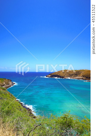 夏威夷哈瑙瑪灣 45511522