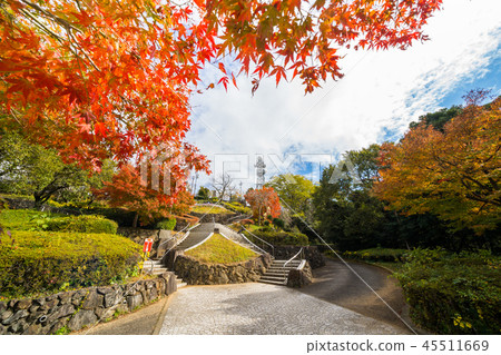 秋葉峨眉山公園（德島市，德島縣） 45511669