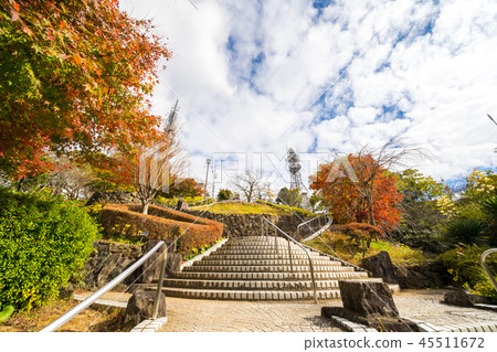 秋葉峨眉山公園(德島市,德島縣) 秋葉峨眉山公園(德島市,德島縣) 45511672