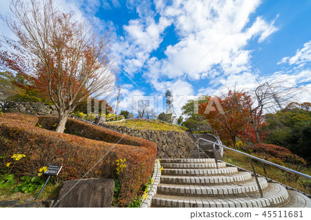 秋葉峨眉山公園(德島市,德島縣) 秋葉峨眉山公園(德島市,德島縣) 45511681