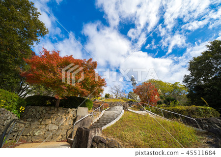 Autumn leaves Emeishan Park (Tokushima city, Tokushima prefecture) Autumn leaves Emeishan Park (Tokushima city, Tokushima prefecture) 45511684
