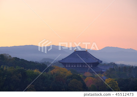Autumn view of Todaiji Temple (Narasaka-cho, Nara City) 45512473
