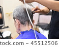 Visiting beauty 16 45512506