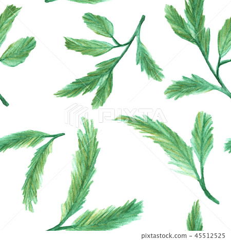 Seamless pattern with green pine branches - Stock Illustration ...