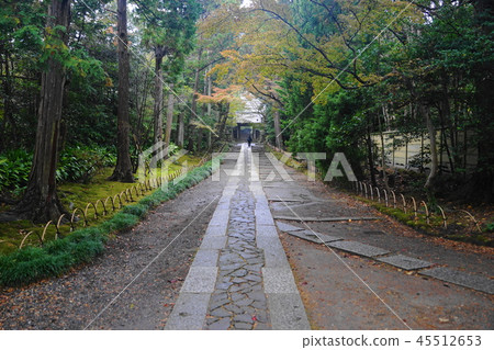 11月鎌倉612首富寺，鋪路石和山門 45512653