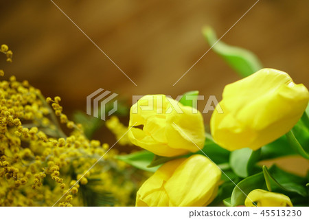 Yellow tulips and mimosa Yellow tulips and mimosa 45513230