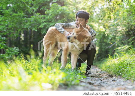 秋田犬男 秋田犬男 45514495