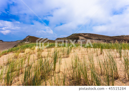 Grey dunes in the Curonian Spit, Lithuania. Grey dunes in the Curonian Spit, Lithuania. 45515284
