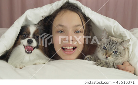 Happy teen girl communicates with dog Papillon and Thai cat in bed 45516371