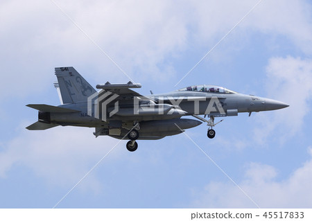 EA-18G咆哮者登陸 45517833