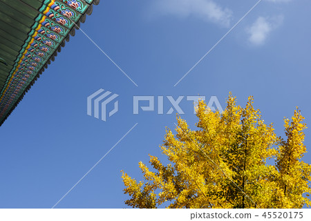 Autumn Palace 45520175