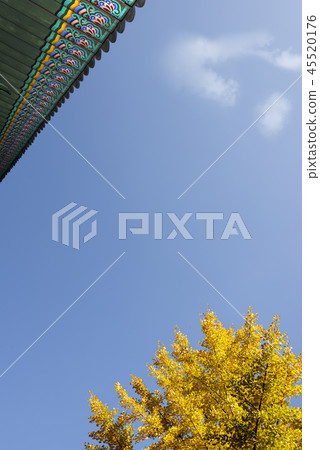 Autumn Palace 45520176