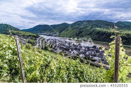 Neef at the Moselle Rhineland-Palatinate Germany 45520555