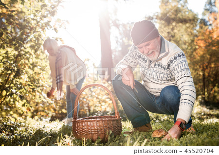 Cheerful nice man looking into the grass Cheerful nice man looking into the grass 45520704