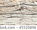 Watercolor painting grunge holiday background of old wooden planks Watercolor painting grunge holiday background of old wooden planks 45520896