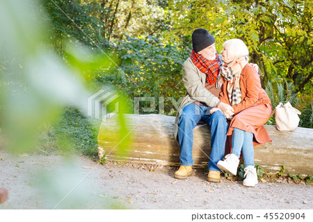 Pleasant elderly couple going to the park together Pleasant elderly couple going to the park together 45520904