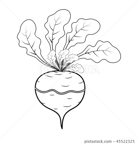 Outline Turnip Cartoon Icon Design Isolated Stock Illustration 45522325 Pixta