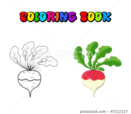 coloring book turnip cartoon icon design isolated coloring book turnip cartoon icon design isolated 45522327