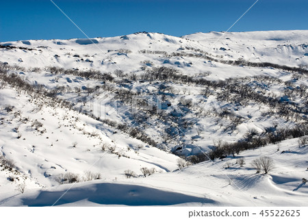 Winter Scene 45522625