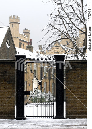 Palace Gate Palace Gate 45524144