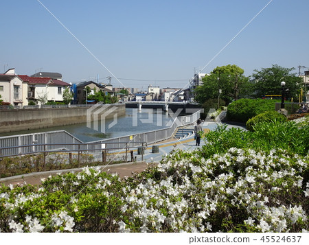 帽子的婦女走在河沿的 45524637