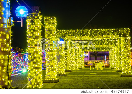 Gunma Gunma Flower Park Illumination Festa 45524917