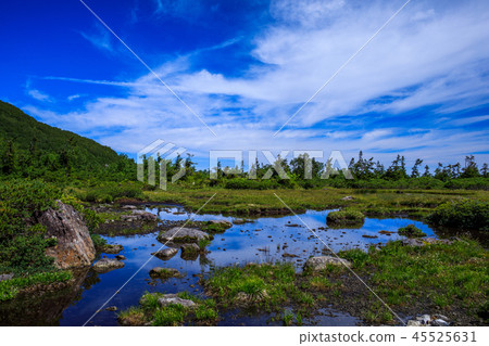 << Tenguhara的北阿爾卑斯山白馬歐克濕地 << Tenguhara的北阿爾卑斯山白馬歐克濕地 45525631