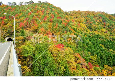 如果你乘坐南昌隧道,那裡有著名的秋葉 如果你乘坐南昌隧道,那裡有著名的秋葉 45525748