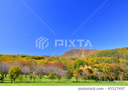 Autumn leaves of Hachimantaira 45527497