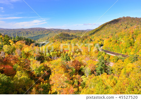 Autumn leaves of Hachimantaira 45527520