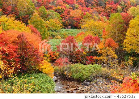 Autumn leaves of Hachimantaira Autumn leaves of Hachimantaira 45527532
