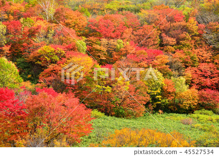 Hachimantaira秋葉 Hachimantaira秋葉 45527534