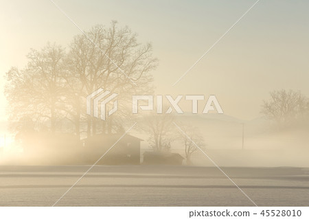 Winter Satoyama Winter morning 45528010