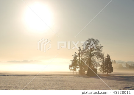 Winter Satoyama Winter morning 45528011