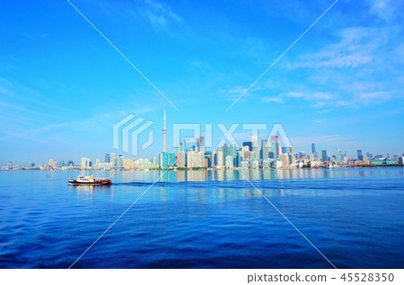 多倫多的街道 45528350