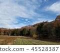 Autumn's blue sky 45528387