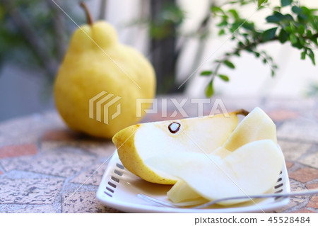 Niigata Chuetsu Meiden產品Le Recce Niigata Chuetsu Meiden產品Le Recce 45528484