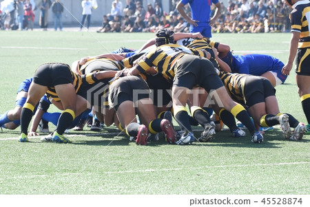 Rugby Rugby 45528874