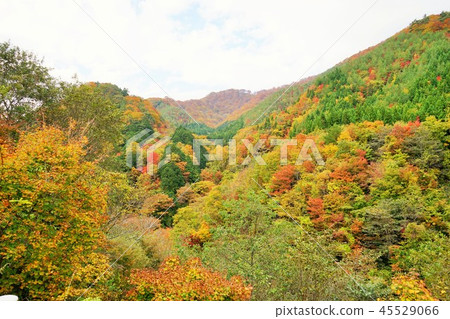 If you take the Nanchang tunnel, the famous spot of autumn leaves If you take the Nanchang tunnel, the famous spot of autumn leaves 45529066